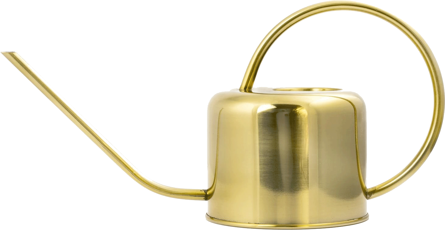 Gouden gieter